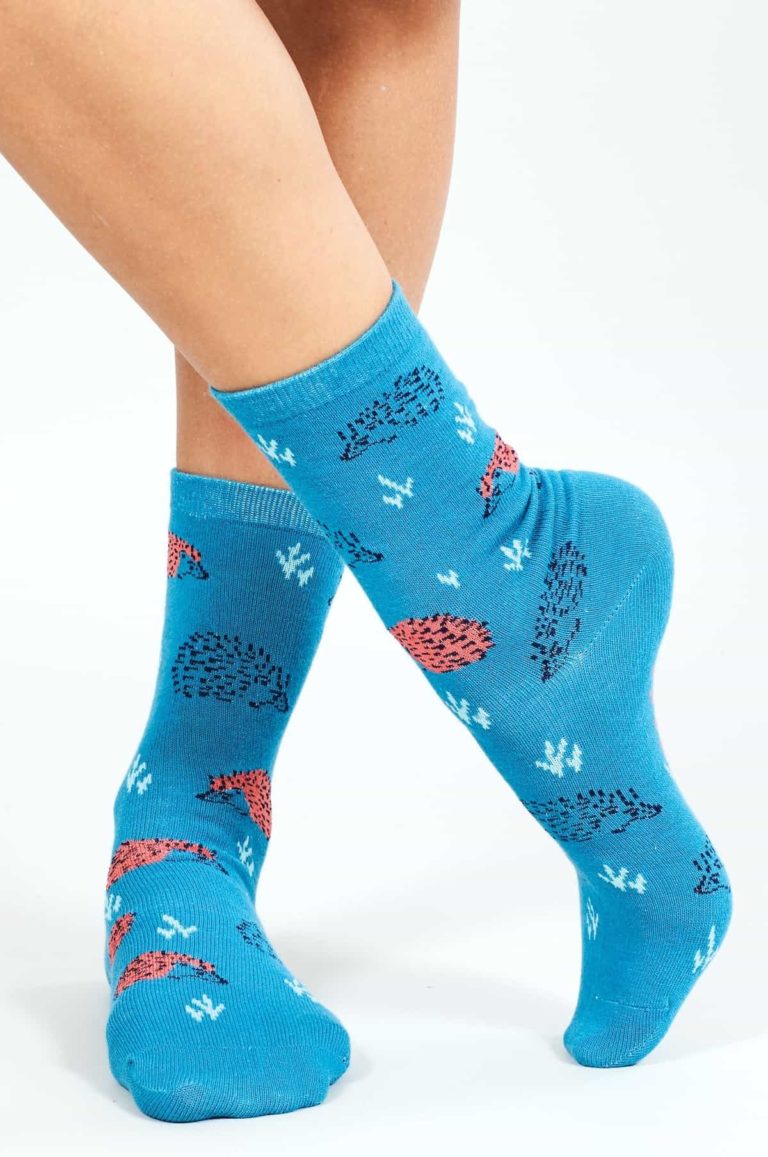 Nomads dámské ponožky z bio bavlny hedgehog modré