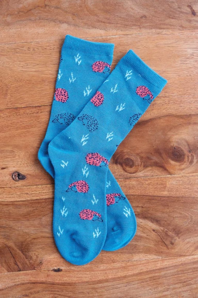 Nomads dámské ponožky z bio bavlny hedgehog modré