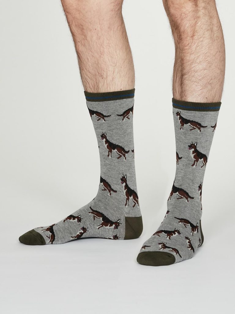 Thought dárkové balení pánských ponožek canin