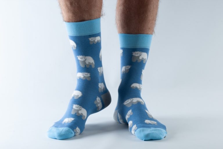 Doris and Dude pánské ponožky blue polar bear