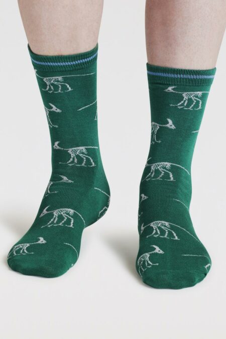 Thought ponožky dinosaur green